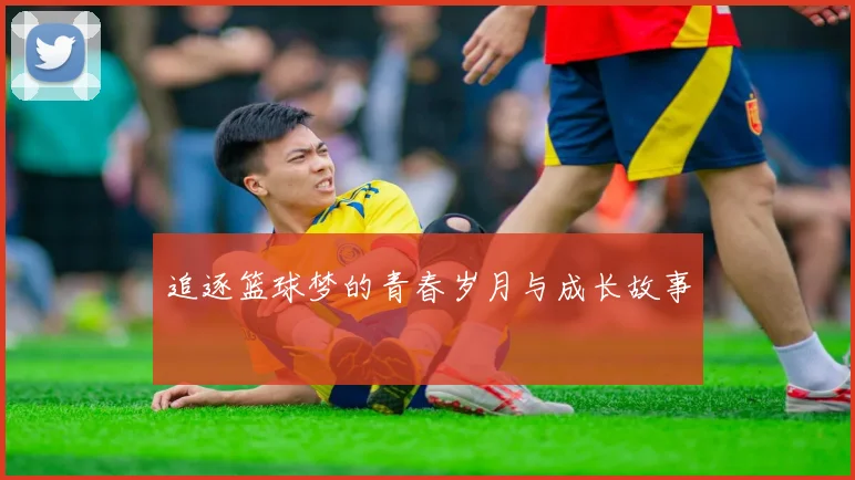 追逐篮球梦的青春岁月与成长故事