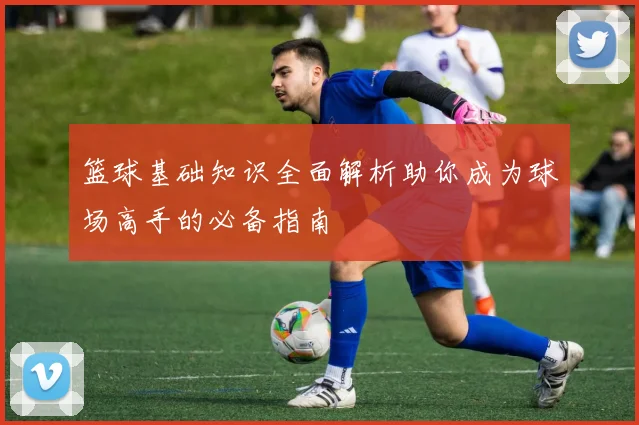篮球基础知识全面解析助你成为球场高手的必备指南
